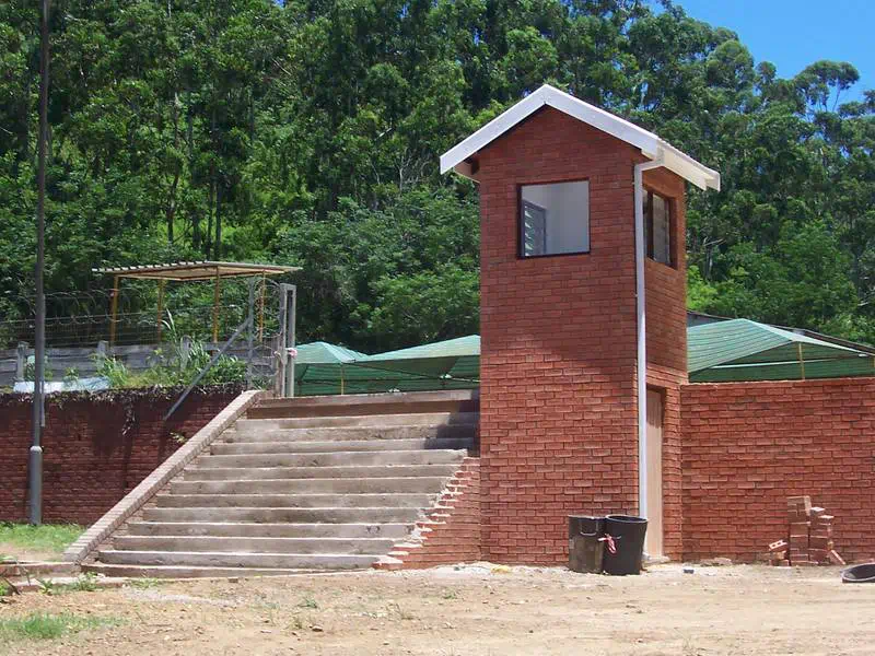 Walls